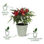 green basics growpot 24cm living black